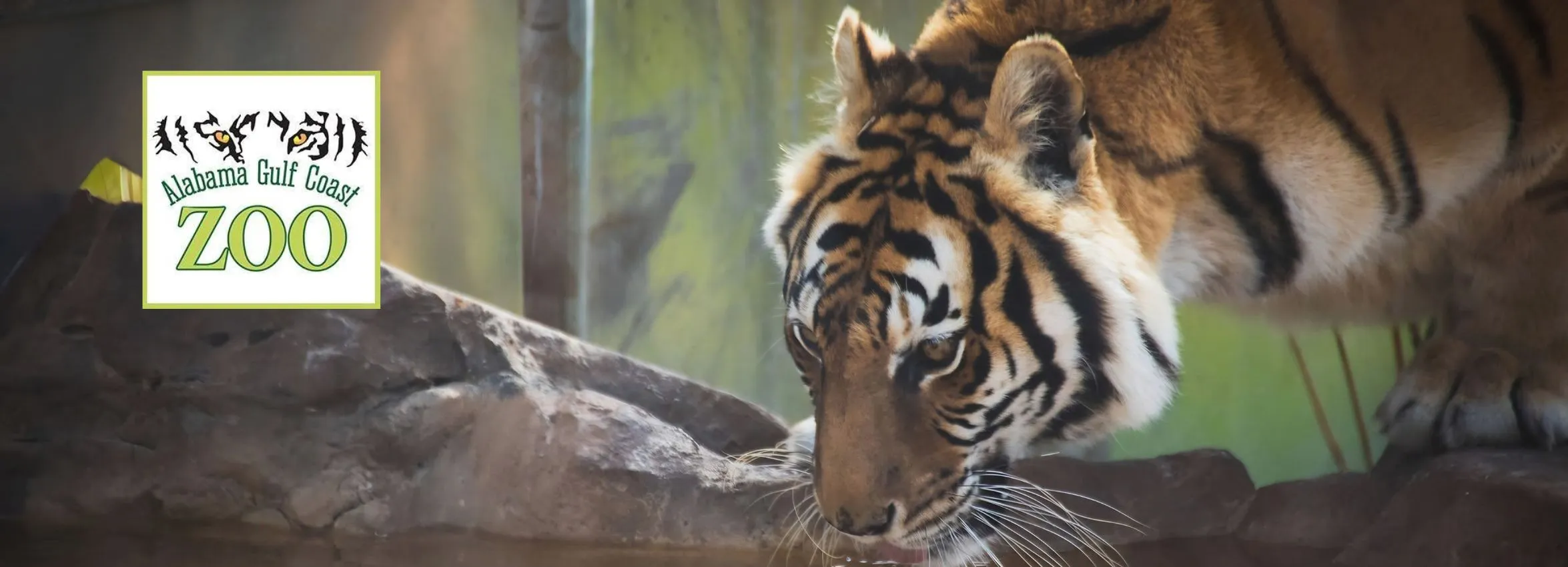 Alabama-Gulf-Coast-Zoo_Desktop_AL