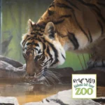 Alabama-Gulf-Coast-Zoo_Mobile_AL